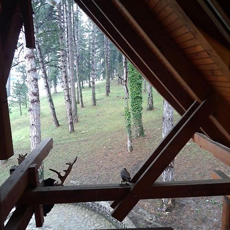 Hotel Prenociste/Restoran Lovac Bihać Exteriér fotografie